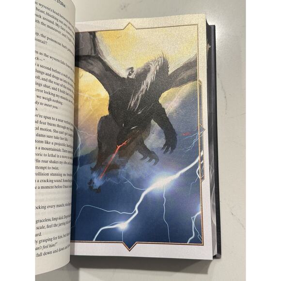 Onyx Storm Rebecca Yarros Target Exclusive Limited Edition Hardcover New W/PINS - Picture 5 of 11